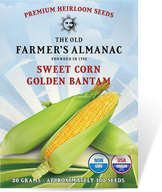 The Old Farmer's Almanac Heirloom Sweet Corn Seeds (Golden Bantam) - Approx 75 Seeds - Non-GMO, Open Pollinated, USA Origin
