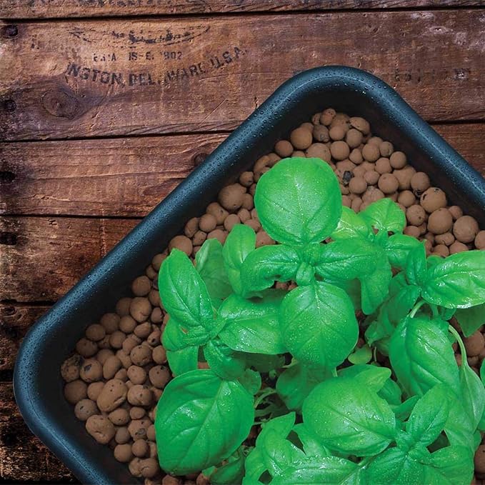 GROW!T GMC10L - 4mm-16mm Clay Pebbles, Brown, (10 Liter Bag) - Made from 100% Natural Clay, Can be used for Drainage, Decoration, Aquaponics, Hydroponics and Other Gardening Essentials