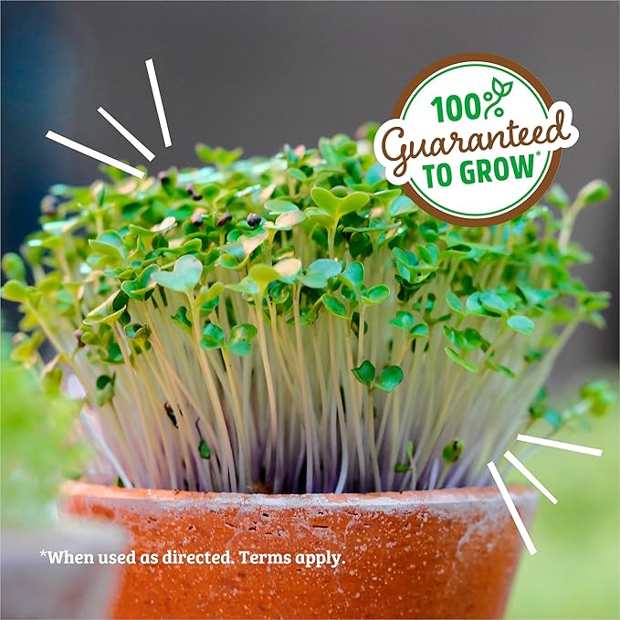 Back to the Roots 100% Organic Alfalfa Seeds | 1 Pound Non-GMO | Nutrient Dense, Easy to Grow, Rich in Fiber