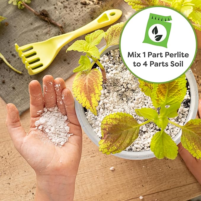 Organic Perlite by Perfect Plants — 4qts. Natural Soil Additive for Indoor & Outdoor Container Plants — Enhanced Drainage for Optimal Growth