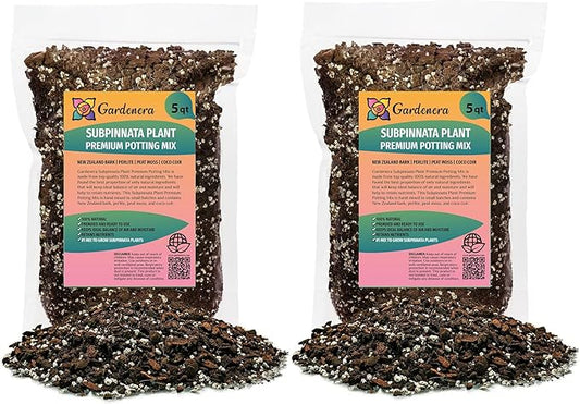 Monstera Subpinnata Planting Mix - Promotes Steady Growth and Healthy Leaves - 10 Quart (2 Bags of 5 Quart)