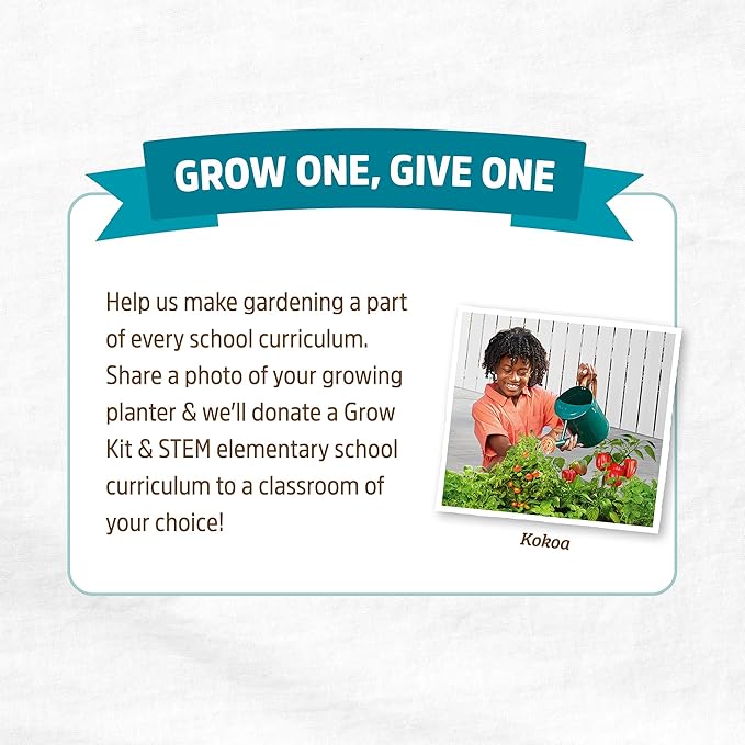 Back to the Roots Self-Watering Terracotta Olla Pot (Pack of 3), 700mL Provides 1 Week of Precision Watering