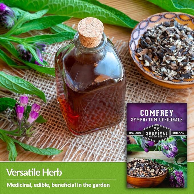 Survival Garden Seeds Comfrey Seed for Planting - 2 Packets with Instructions to Plant and Grow Slippery Root Plants in Your Home Herb Garden - Symphytum officinale - Non-GMO Heirloom Seed Variety