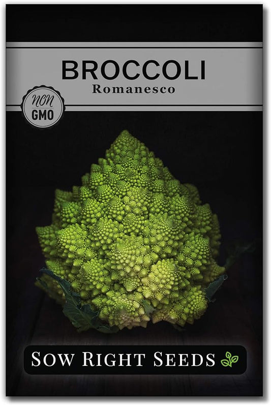 Sow Right Seeds - Romanesco Broccoli Seeds for Planting - Non-GMO Heirloom Packet with Instructions to Plant an Outdoor Home Vegetable Garden - Great for Salads - Abundant Harvest - Cold Hardy (1)