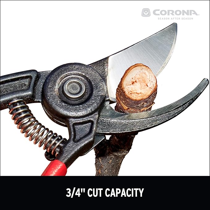 Corona BP 3640 Forged Steel ErgoACTION Angled Bypass Hand Pruner - 3/4 inch Cut Capacity Stem and Branch Garden Shears, Red