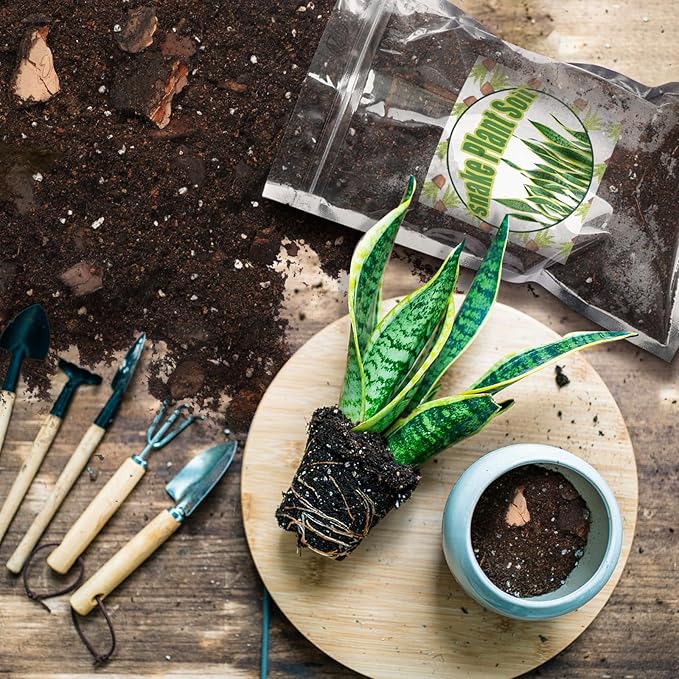 Premium Snake Plant Soil Mix 10qt, Indoor Plants Potting Mix for All Potted Snake Plants, Promote Healthy Growth and Easy Care