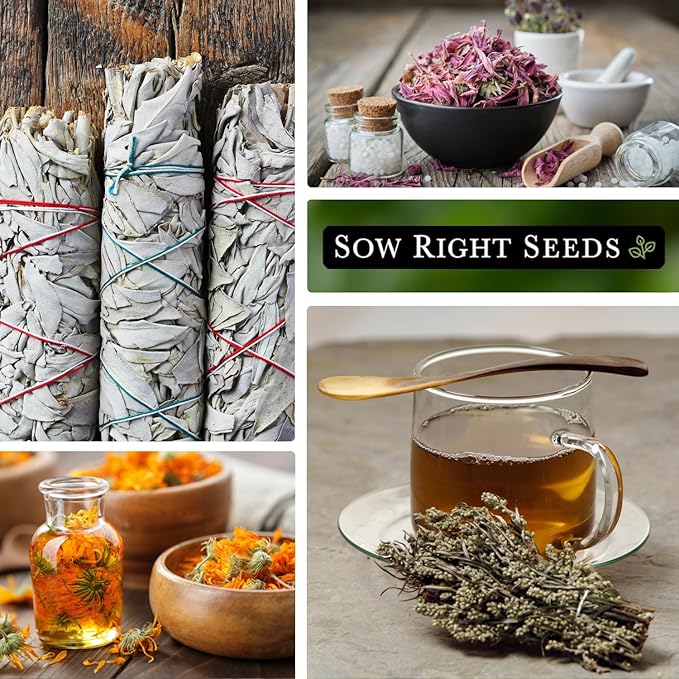 Sow Right Seeds - Extra Large Medicinal Herb Seed Collection for Planting - Lemon Balm, Lavender, Yarrow, Echinacea, Bergamot, Chamomile, Calendula, Mint & More - Non-GMO Heirloom, Home Remedies