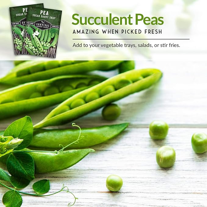Survival Garden Seeds - Sugar Daddy Snap Pea Seed for Planting - 3 Packs with Instructions to Plant and Grow in Delicious Pea Pods Your Home Vegetable Garden - Non-GMO Heirloom Variety