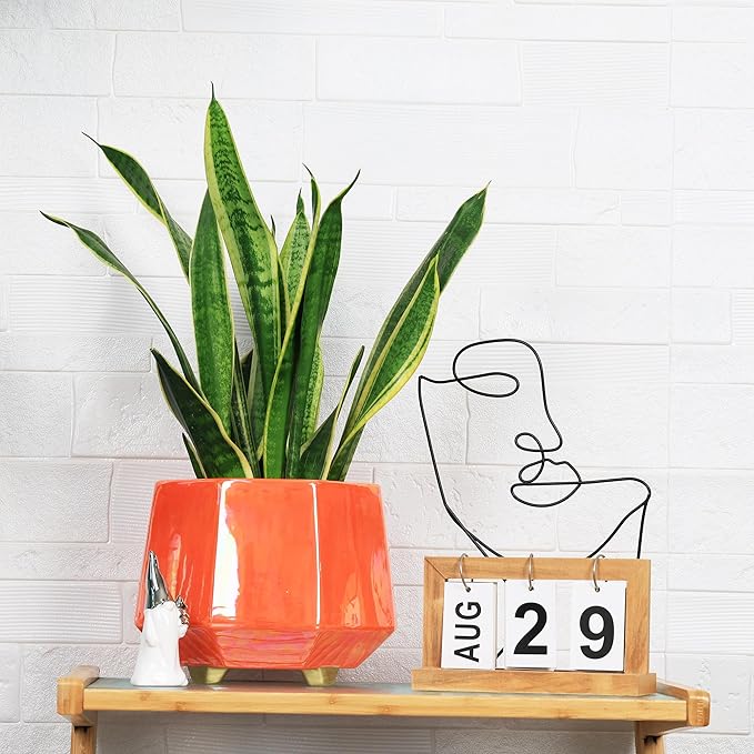 8 Inch Ceramic Planter for Indoor Plants - Plant Pots with Drainage Holes - Modern Minimalist Flower Pot for Succulents and Herbs - Peach