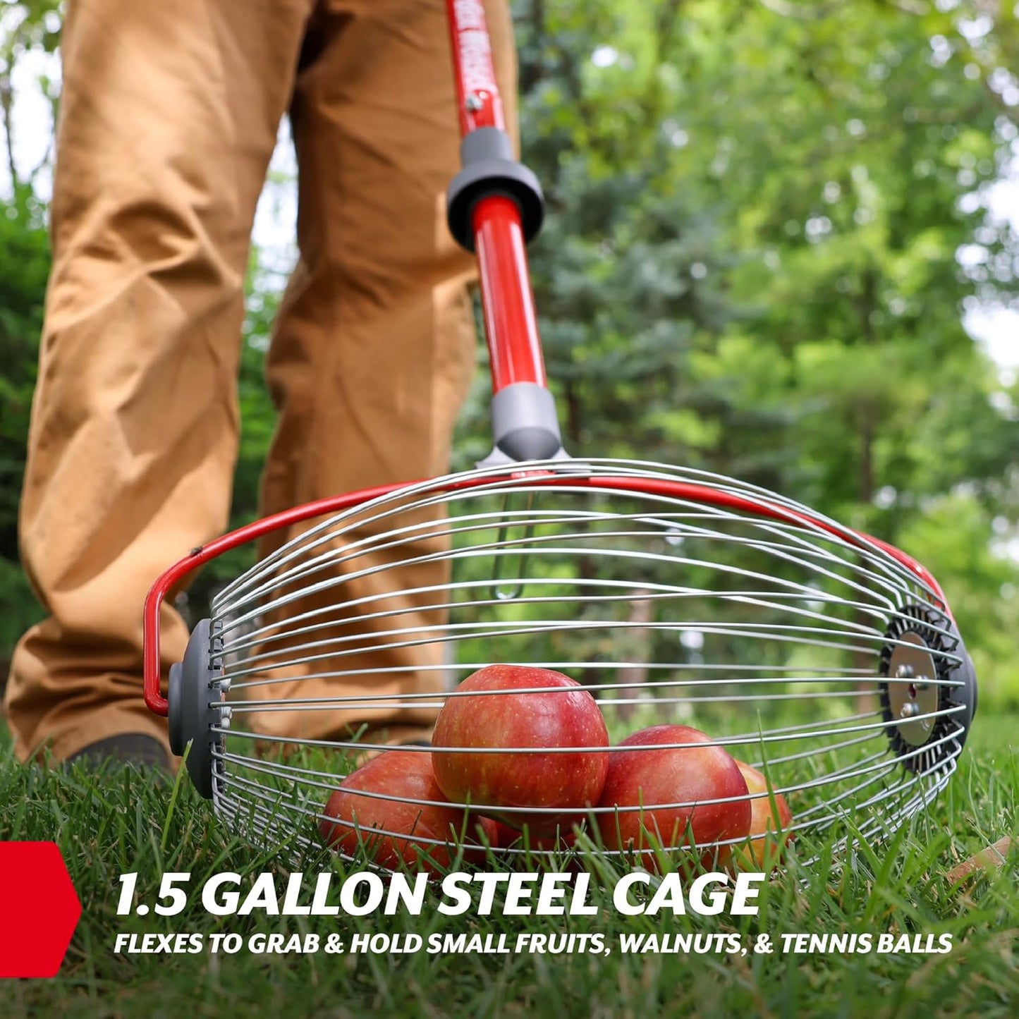 GARDEN WEASEL Large Nut Gatherer Roller – Nut Collector Tool for Walnuts, Sweet Gum Balls, Tennis Balls and More – Yard Picker Upper with Durable Cage and Ergonomic Handle - Newest Model