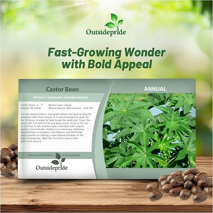 Outsidepride 100 Seeds Annual Ricinus Communis Castor Bean Zanzibariensis Flower Seeds for Planting