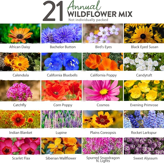 HOME GROWN 49,000+ Wildflower Seeds: (2oz) Bulk Mix, 21 Varieties Wild Flower Mix - Bee and Butterfly Garden Pack - Native Annual Flowers for Planting for Your Garden