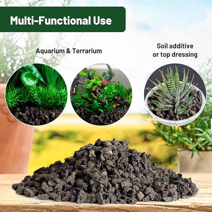 Drainage Rocks for Potted Plants 5LB, Horticultural Lava Rocks for Plants, Succulent Rocks for Pot Indoor, Lava Rock Aquarium Garden Landscaping Volcanic Bonsai Terrarium Fish Tank Decorative Stone