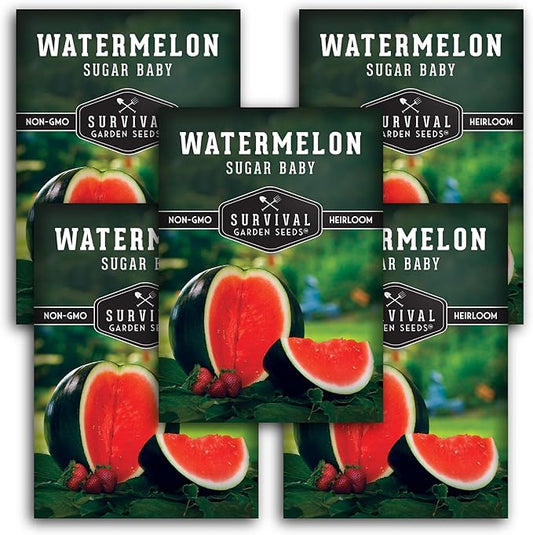 Survival Garden Seeds - Sugar Baby Watermelon Seed for Planting - 5 Packs with Instructions to Plant and Grow Little Round Watermelons in Your Home Vegetable Garden - Non-GMO Heirloom Variety