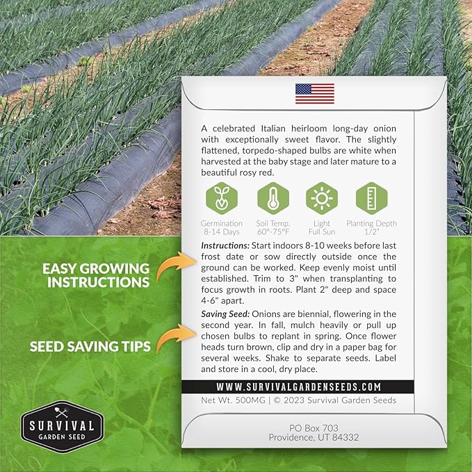 Tropea Rossa Tonda Onion Seeds for Planting - 2 Packets with Instructions to Plant and Grow Italian Long Day Onions in Your Home Vegetable Garden - Non-GMO Heirloom Variety - Survival Garden Seeds