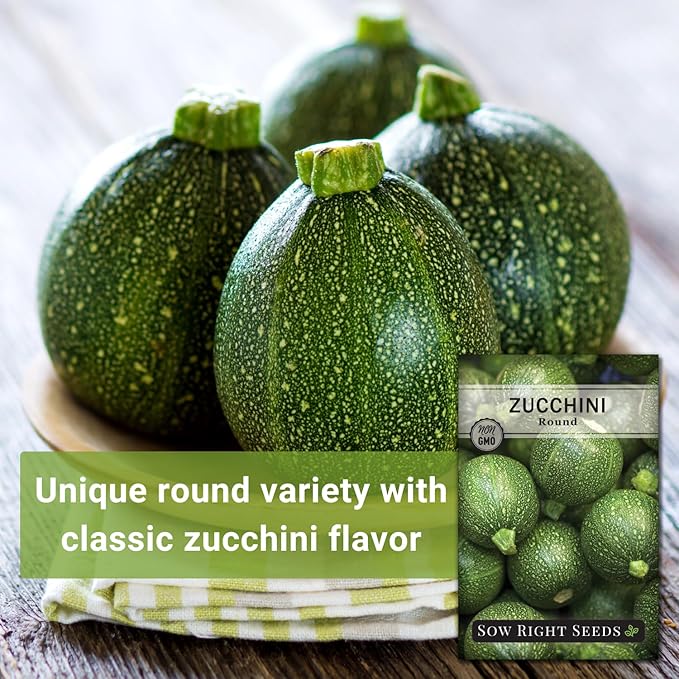 Sow Right Seeds - Round Zucchini Seed for Planting - Non-GMO Heirloom Packet with Instructions to Plant a Home Vegetable Garden - Unique Globe Squash - Summer Vining Variety (1)
