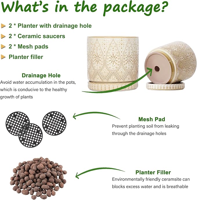 8 Inch + 6 Inch Indoor Plant Pot with Drainage Holes and Saucers, Ceramic Planter for Plants, Succulent Orchid Flower Pots