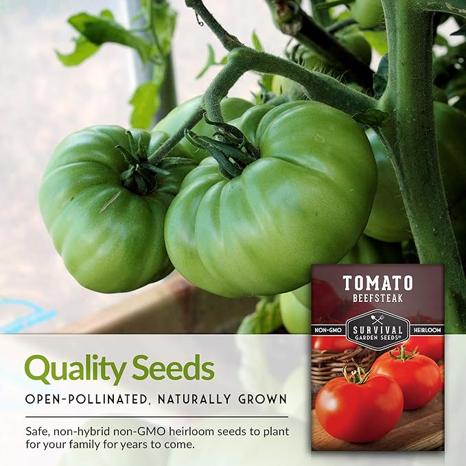 Survival Garden Seeds - Beefsteak Tomato Seed for Planting - Packet with Instructions to Plant and Grow Delicious Tomatoes in Your Home Vegetable Garden - Non-GMO Heirloom Variety - 3 Pack