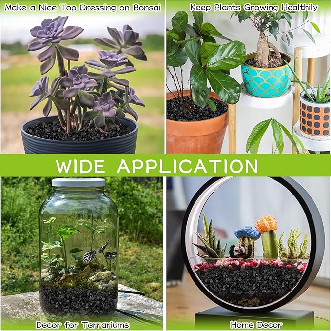 Legigo 8QT All Natural Horticultural Charcoal- Activated Hardwood Plant Charcoal for Soil Amendment, Conditioning Bonsai Soil, Succulent Soil, Terrarium Supplies, Indoor Plant Potting Soil