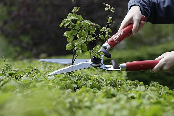 Berger Hedge Shear Wavy B-4590