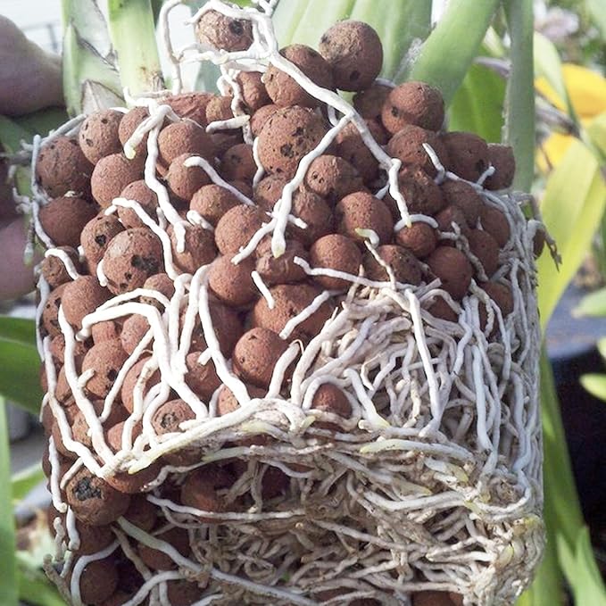 2.5 lbs LECA Balls for Indoor Plants, 4-16mm Clay Pebbles for Plants Hydroponic, Aquaponics, Natural Leca Balls for Soil Root Development, Orchid Potting Mix