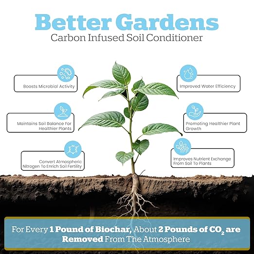 Wakefield Premium Indoor Potting Soil - Professional Biochar & Probiotics with CarbonBoost Technology - Ultimate Organic Potting Mix for Indoor & Outdoor Plants, Succulents & House Plants - 2Quarts