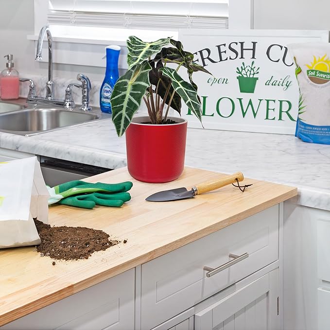 Elephant Ear Potting Soil Mix (8 Quarts), Colocasia and Alocasia Potted Plant Blend