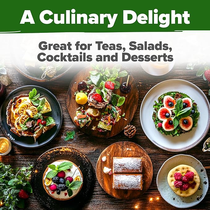 HOME GROWN Peppermint Seeds Pack – 2,370 Non-GMO, Heirloom Mint Seeds for Planting. Grow Peppermint Plants in Your Herb Garden Indoors or Outdoors (Mentha × piperita)