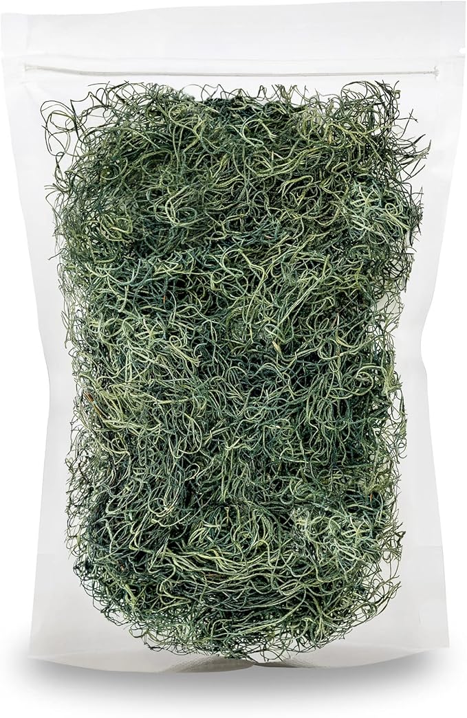 Premium Spanish Moss in Basil| Natural Preserved - Great Ground Cover - Filler for Potted Plants - by GARDENERA - 5 Quart Bag