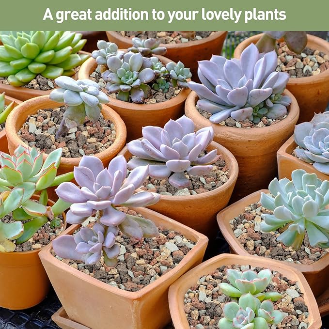 GASPRO 5lbs Lava Rocks for Plants, 1/5 Inch Pea Gravel for Succulent, Pots Indoor, Terrarium, Cactus, Bamboo, Bonsai Tree, Top-Dressing, Mixed Color Volcanic Rocks, Good Drainage