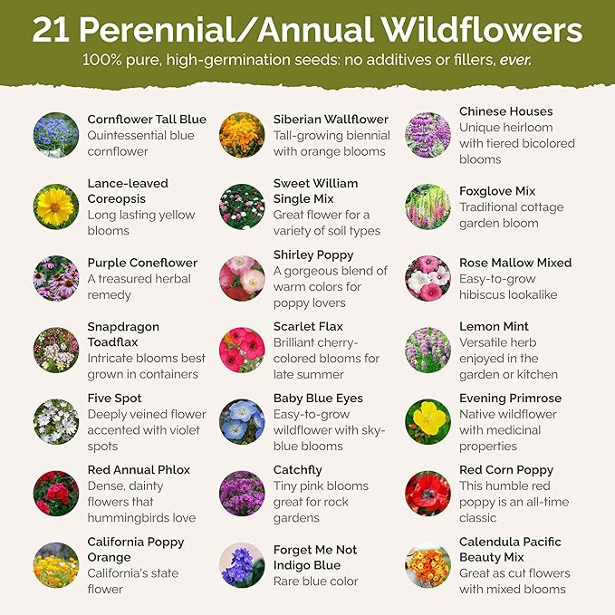 Eden Brothers Partial Shade Wildflower Mixed Seeds for Planting, 1 lb, 480,000+ Seeds with Sweet William, Foxglove | Attracts Pollinators, Plant in Spring or Fall, Zones 3, 4, 5, 6, 7, 8, 9, 10