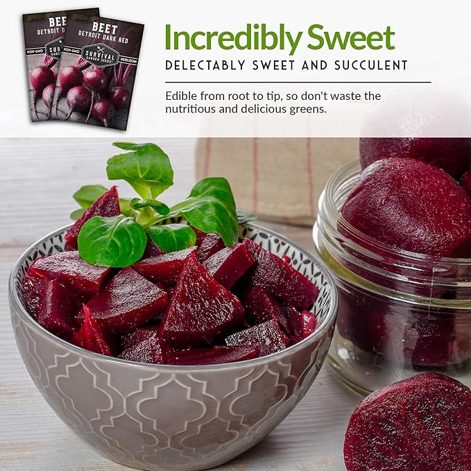 Survival Garden Seeds - Detroit Dark Red Beet Seed for Planting - 5 Packs with Instructions to Plant and Grow Delicious Root Vegetables in Your Home Vegetable Garden - Non-GMO Heirloom Variety
