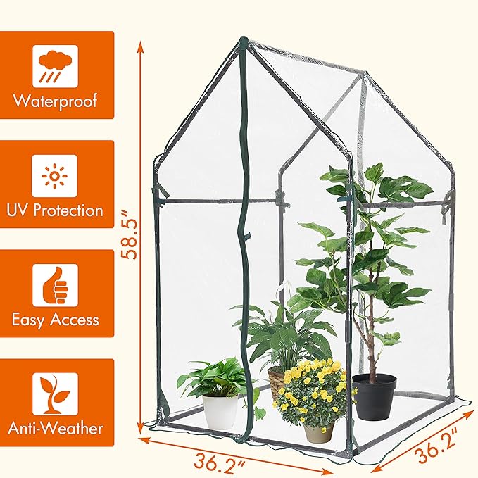 Gardzen Mini Greenhouse Heavy Duty Portable Green House, Clear Tent Small Greenhouse for Indoor Outdoor Plants 36.2”(L) x36.2”(W) x59.5”(H)