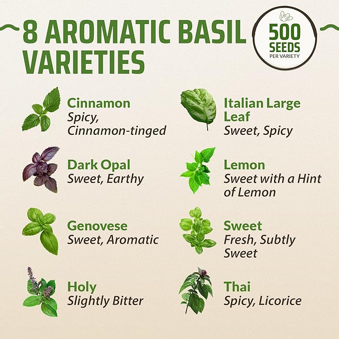 Rooted Acre 8 Basil Seeds Pack - 4000 High Germinating Fresh Basil Seeds - Thai, Genovese, Lemon, Tulsi Holy Basil, & More Culinary Herb Seeds - Non GMO, USA Heirloom Basil Seeds for Planting