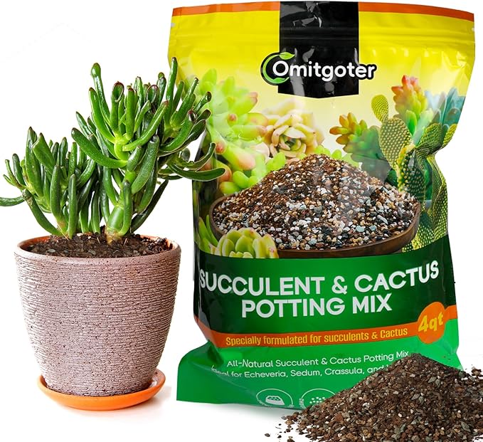 Succulent & Cactus Soil Potting Mix 1qt, Pre-Mixed Ready to Use with Fast Draining Fits for Bonsai, Terrarium and Houseplant