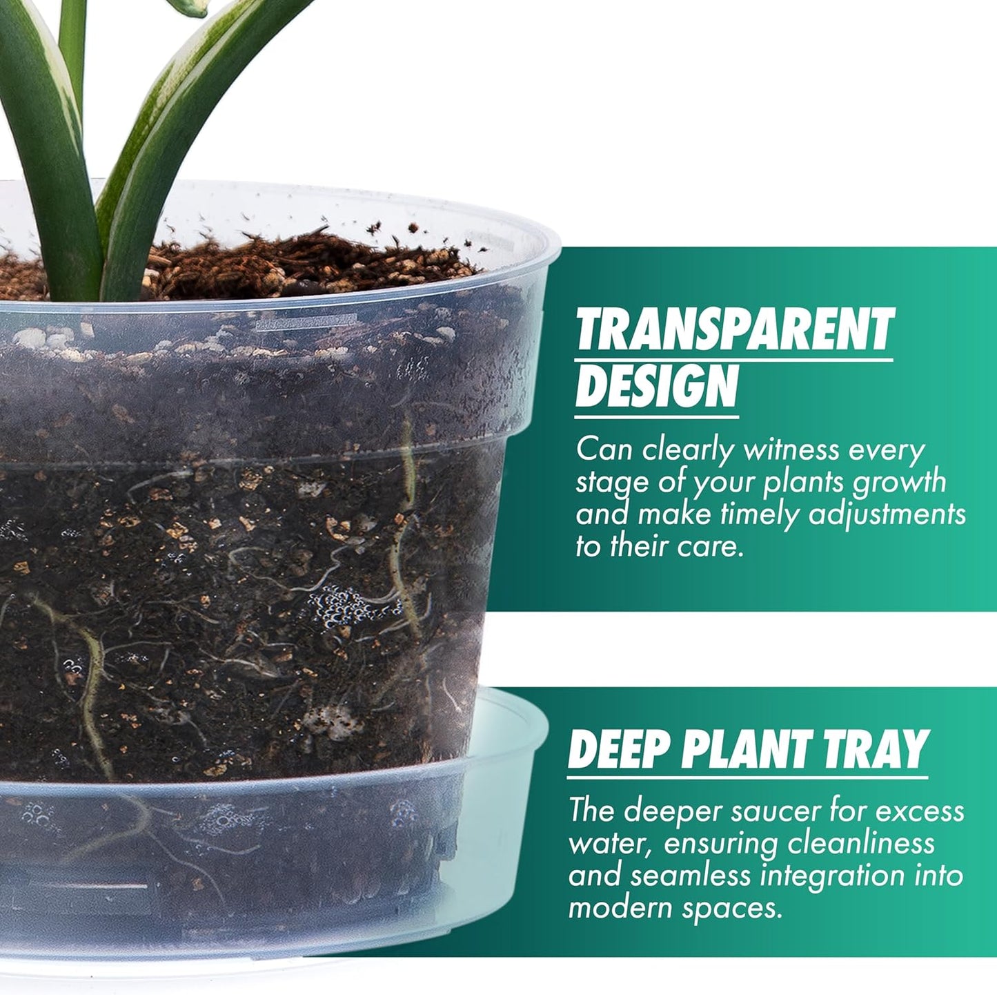 6 Inch Clear Plastic Plant Pot with Drainage Holes, Interlocking & Detachable Tray - Deep Saucer - Durable BPA-Free Plastic, Transparent Design, Raised Base for Airflow, Set of 24, 92-X-C-4