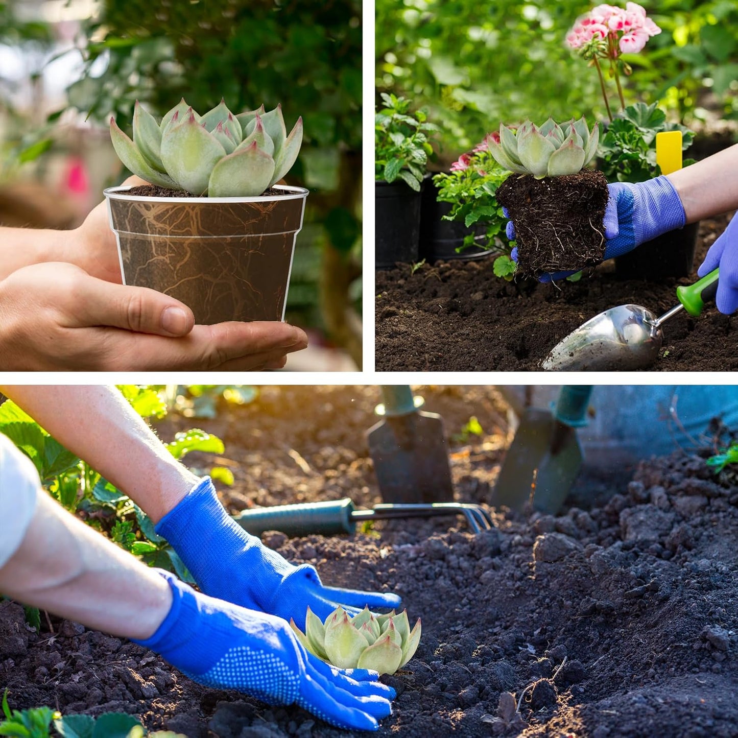 3 Inch Clear Nursery Pots, 30 Pack Highly Transparent Plastic Seedling Starter Planters with Drainage Holes and Trays for Flowers, Small Plant Pots for Indoor Plants