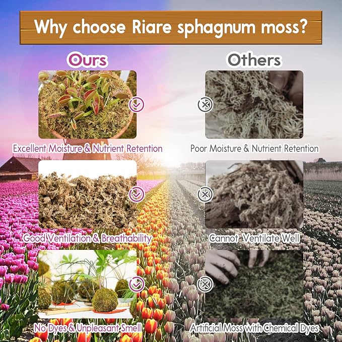 Riare 5.3 OZ Premium Sphagnum Moss for Plants- 6QT Natural Long Fiber Sphagnum Peat Moss Dried, Plants Moss Orchid Potting Mix for Orchids Repotting, Carnivorous Succulent Potted Plants and Reptiles