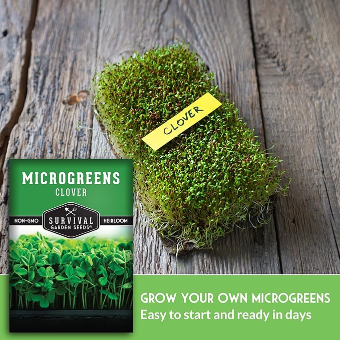 5 Packs Clover Microgreens Seeds for Sprouting and Growing - Sprout Green Leafy Micro Herb Plants Indoors - Grow A Mini Windowsill Garden - Non-GMO Heirloom