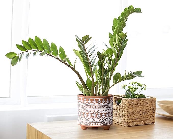 D'vine Dev Set of 2 Terracotta Planter Pots, 4.4 Inch & 6.4 Inch, Wave Pattern Plants Pot with Drainage Hole, Terracotta/White, 31-953-F-1