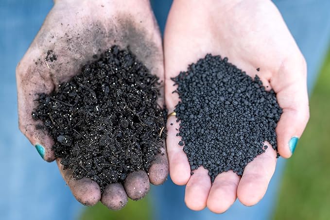 The Andersons BioChar DG Organic Soil Amendment - Covers up to 5,000 sq ft (10 lb)