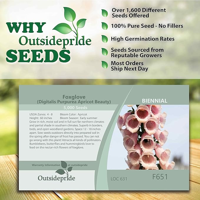 Outsidepride 5000 Seeds Biennial Digitalis Foxglove Apricot Flower Seeds for Planting