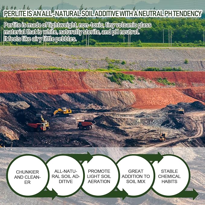 40QT Horticultural Perlite Bulk, Organic Perlite for Plants, Course Perlite for Gardening, for Plants Indoor, for Houseplants, to Promotes Soil Root Growth, and Water Drainage and Plant Growth(3-6mm)