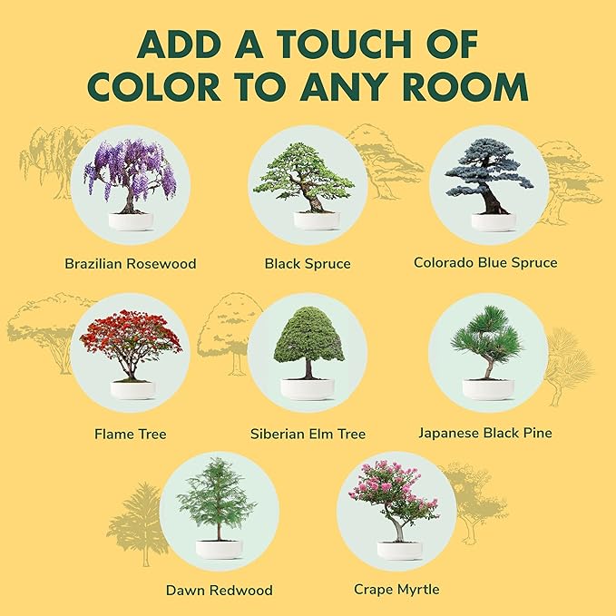 Bonsai Tree Seeds Kit - 8 Popular Varieties of Non GMO Mini Bonsai Trees, Bamboo Plant Markers, Wood Gift Box - Bonzie Tree Seed Starter Kits, Grow Bonzai Indoor, Fathers Day Gardening Gifts Idea