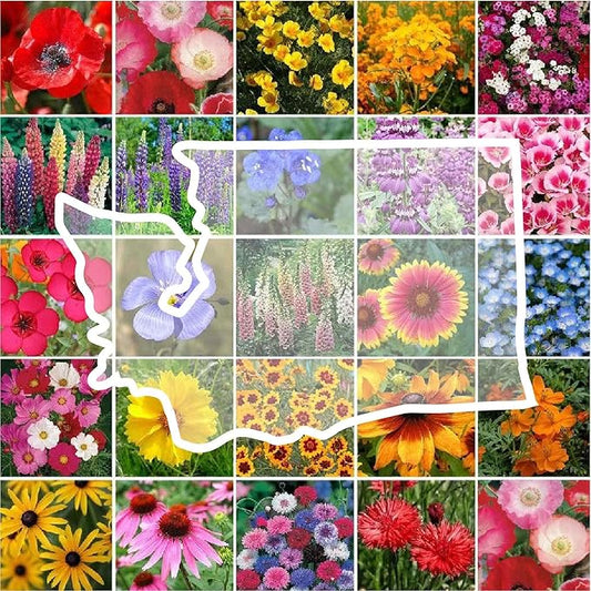 Eden Brothers Washington Wildflower Mixed Seeds for Planting, 1 oz, 30,000+ Seeds with Cosmos, Bluebell | Attracts Pollinators, Plant in Spring or Fall, Zones