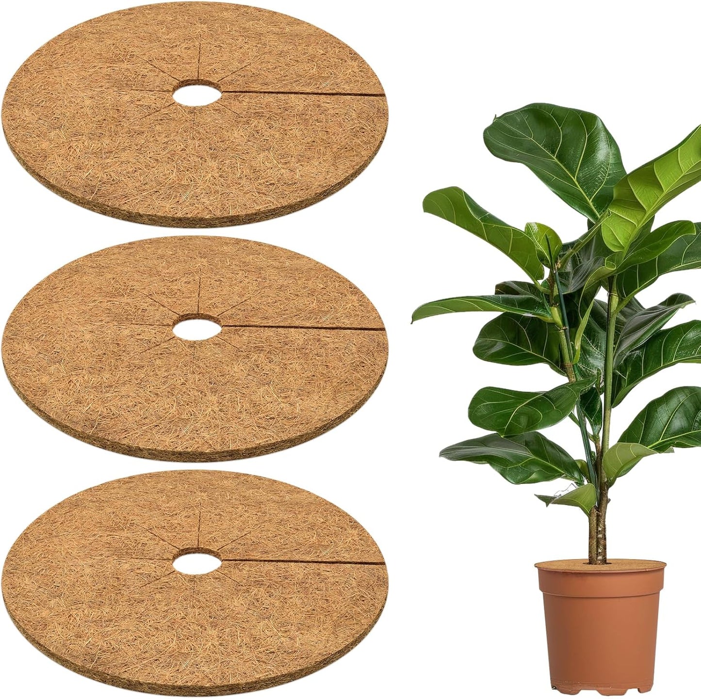 ZeeDix 3 Pack 14 Inch Coconut Fiber Mulch Ring, 100% Natural Coco Coir Tree Ring Mulch Mat Plant Protector Mat, Coconut Coir Discs Plant Pot Soil Cover for Indoor Outdoor Plants, Garden Decoration
