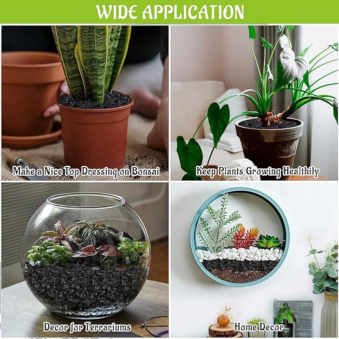 Legigo 2QT Horticultural Charcoal for Plants- Plant Charcoal Hardwood Biochar Soil Amendment, Activated Charcoal for Soil Amendment, Terrariums, Indoor Plant