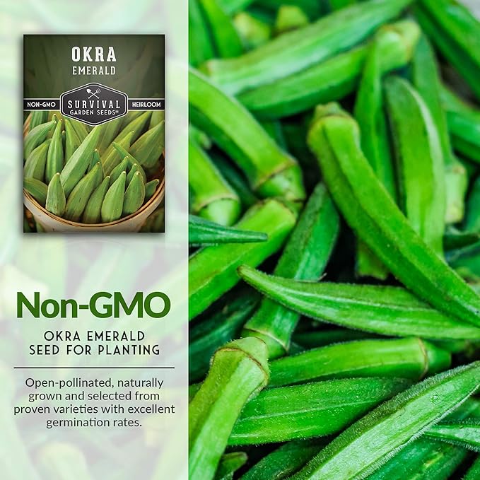 Survival Garden Seeds - Emerald Okra Seed for Planting - Packet with Instructions to Plant and Grow Tender and Large Okra in Your Home Vegetable Garden - Non-GMO Heirloom Variety - 3 Pack
