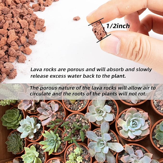 Natural Lava Rocks Granules Decorative Landscaping for Bonsai, Cacti, Succulents Plants, Vase Fillers and Terrarium Plants, 5Lbs