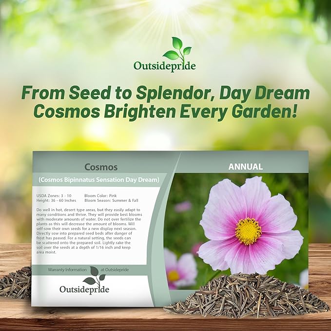 Outsidepride 1000 Seeds Annual Cosmos Bipannatus Day Dream Pink Cut Flower Seeds for Planting